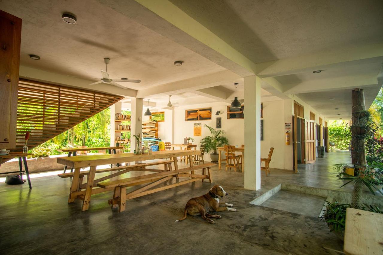 Casa Chapolin Boutique Guesthouse Palomino Εξωτερικό φωτογραφία